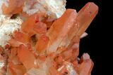 Natural, Red Quartz Crystal Cluster - Morocco #128065-1